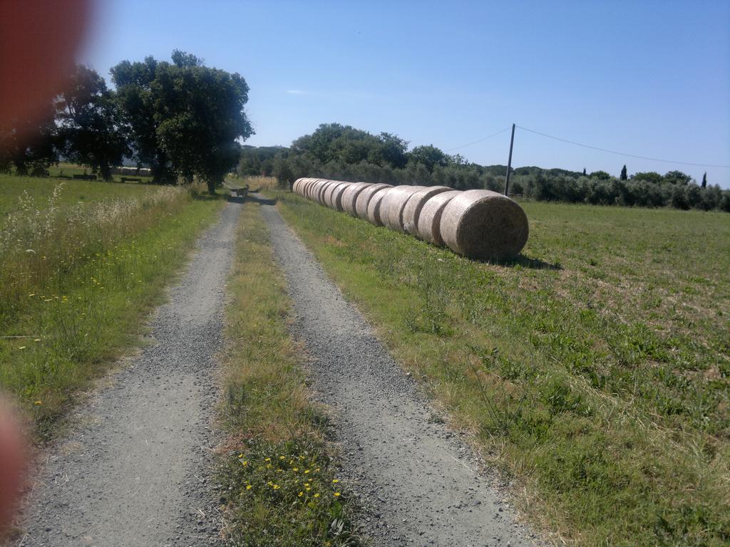 Agriturismo Il Selvello Le Versegge Eksteriør bilde