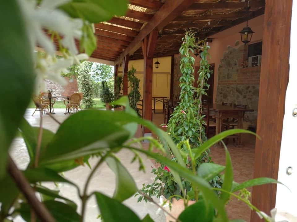 Agriturismo Il Selvello Le Versegge Eksteriør bilde