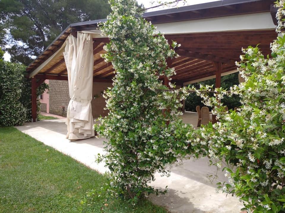 Agriturismo Il Selvello Le Versegge Eksteriør bilde